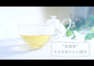 商品プロモーション動画「北鹿茶」【制作実績】